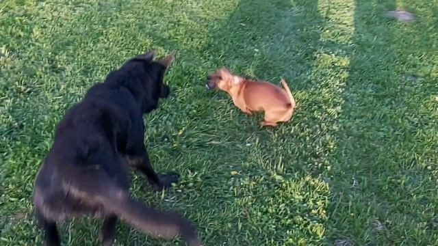 ЭПИЗОД НЕСКОЛЬКИХ ДНЕЙ смотреть онлайн