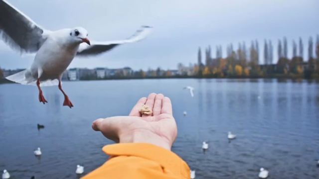 02 смотреть онлайн