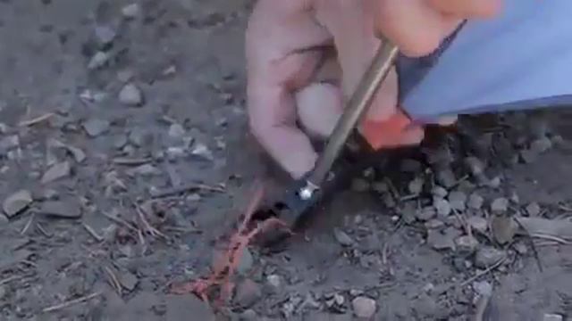 Kelty Gunnison Tent смотреть онлайн