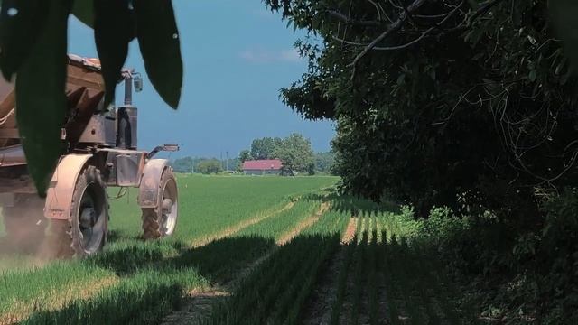 Arkansas Rice Mill смотреть онлайн