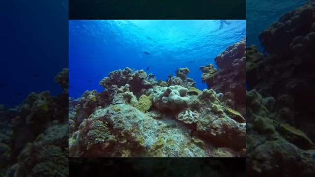 Eden Rock, Grand Cayman