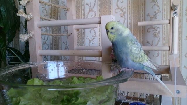 MOV 1257 смотреть онлайн