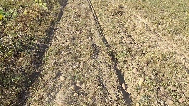 копалка двухрядная для минитрактора смотреть онлайн