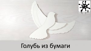 Голубь из бумаги. Бумажный голубь