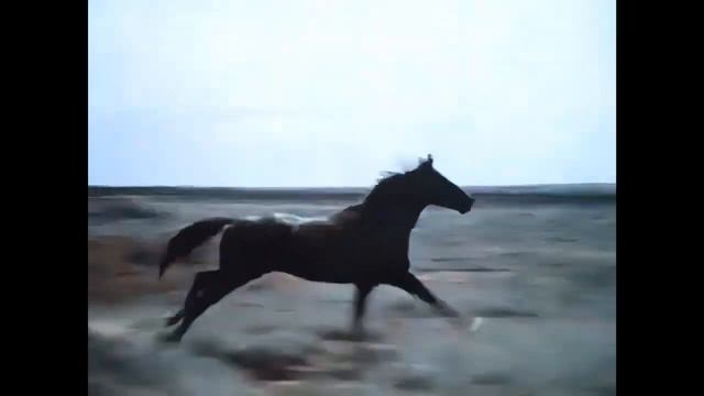 1970s Marlboro Country Advert