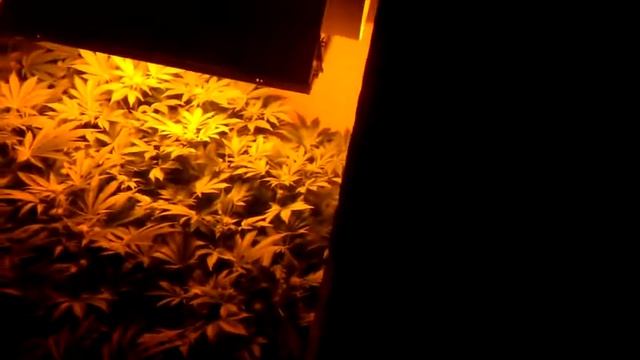 Pure power plant смотреть онлайн