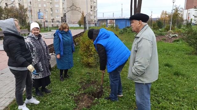 ВОЛОНТËРЫ САЖАЮТ КИЗИЛЬНИК У АЛЬПИЙСКОЙ ГОРКИ