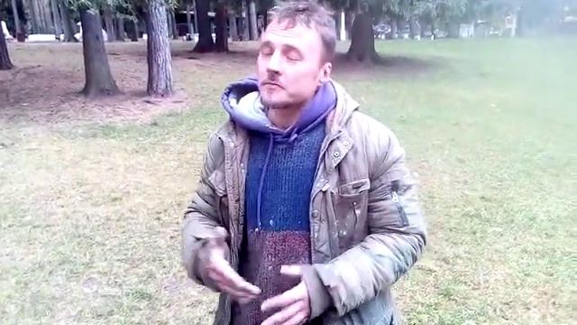 Самолет из картин и дом на дереве смотреть онлайн
