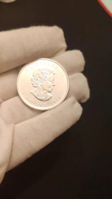 Серебряная монета Канады Сапсан,2014 г.в.,31,1 г чистого серебра (проба 9999). смотреть онлайн