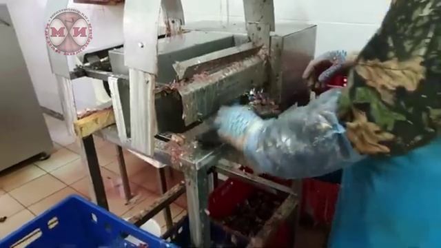 Машина для разделки рыбы РМ-200