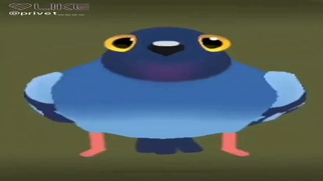 Голубь прыгает под песню я жую любимую жвачку, жвачку смотреть онлайн