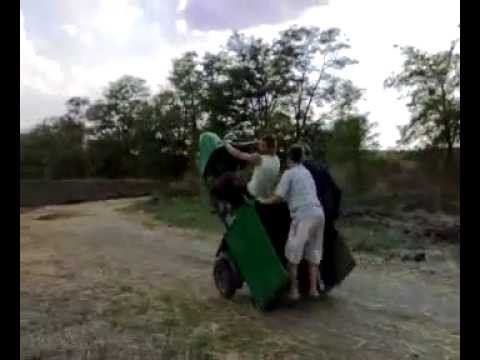 Вилли на Муравье 3