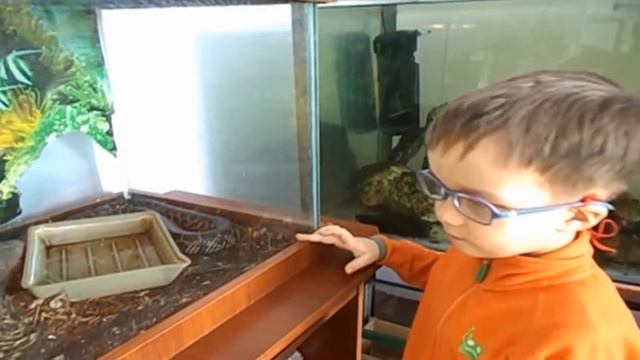 Полоз 2 смотреть онлайн