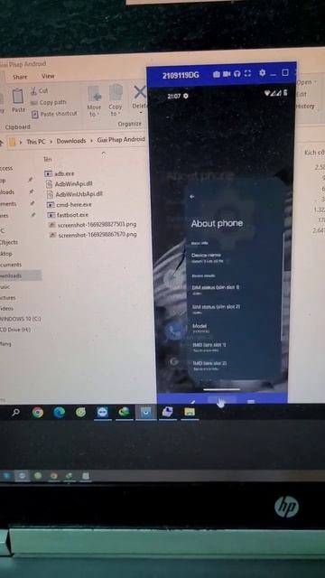 Update Android 13 Xiaomi 11 Lite 5G NE Install Magisk Root