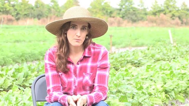 Organic Sound and Sensible Project - Why Consider Organic Certification смотреть онлайн