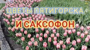ЦВЕТЫ ПЯТИГОРСКА И САКСОФОН🎷