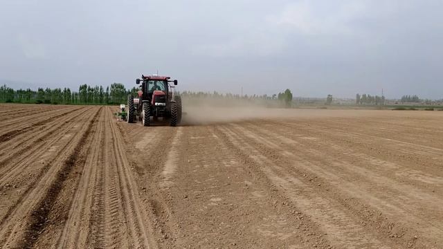 PUMA 155 avtopilot yordamida paxta ekish ishlari | Cotton planting | Посев хлопка 2021 смотреть онлайн