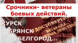 Срочники- ветераны боевых действий. Курск, Брянск, Белгород…