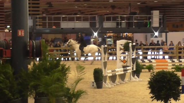 Blueyes de Cyclamen / equita'Lyon / Koba Hunter equita 2016 смотреть онлайн