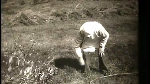 Удмуртские ЭлектроХроники. Сенокос. смотреть онлайн