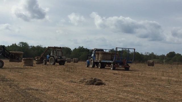 Так собирают лён. Газета 