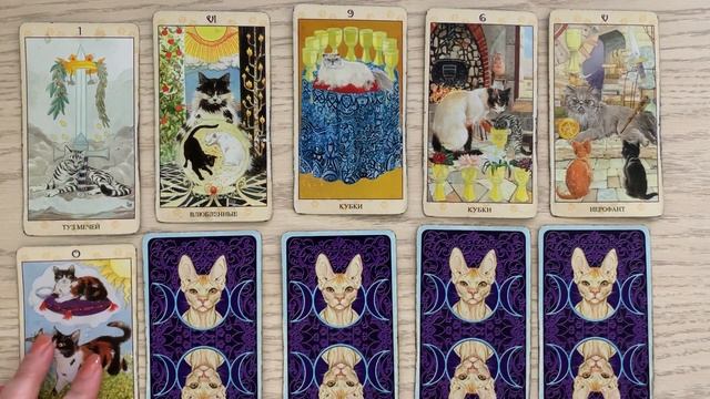 Телец с 12 Июня 2023 по 18 Июня 2023 По Дням Таро Расклад