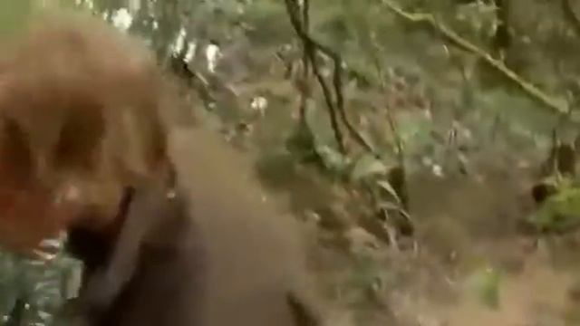 Fish Warrior : Amazing Documentary смотреть онлайн