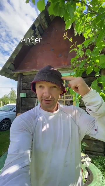Средство от комаров в цвете одежды☝️ смотреть онлайн