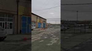 девочки  пойдёмте  погуляем