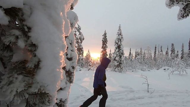 Сказочный лес Имандры смотреть онлайн