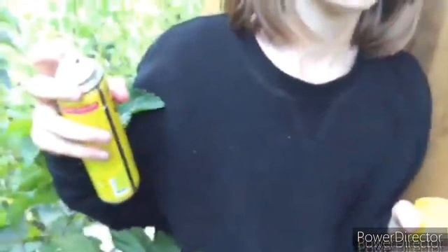 Типичный сбор малины 🌱 смотреть онлайн