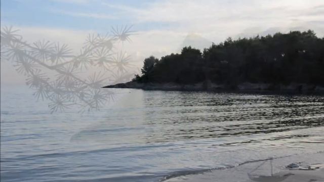 Елена Касьяненко, арт-тур в Черногорию, октябрь 2012, работы учеников смотреть онлайн