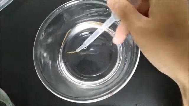 Collecting And Separate Maturing Polychaetes Platynereis Dumerilii_SQS's Lab