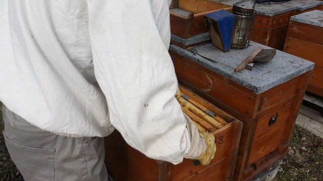 Карника Баскевича улей 78. та что слабее и что нужно для хорошего весеннего развития! смотреть онлайн