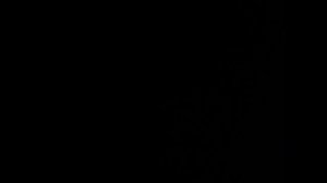 Добро пожаловать в Россию (Мешап)