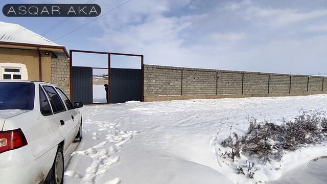 ЯНГИ БОЗОР ОЧИЛДИ!!! СЕШАНБА МОЛ БОЗОРИ /  ЖИЗЗАХ ГАЛЛАОРОЛДА ЯНГИ МОЛ БОЗОР 