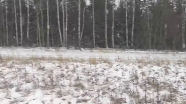 Чувашия, внедорожник ушёл в кювет и перевернулся смотреть онлайн
