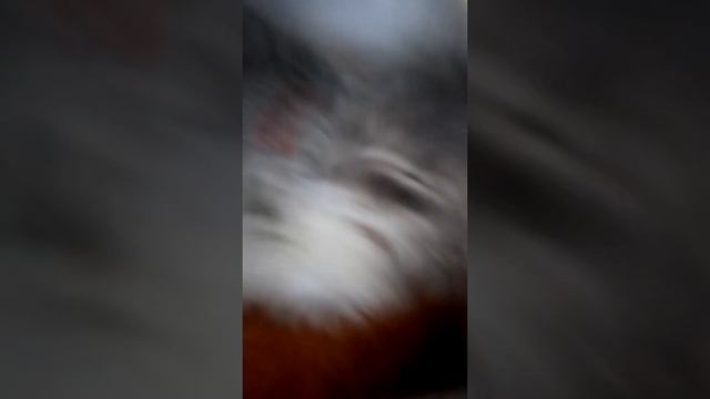 Видео с песней я с тобой я не могу и без тебя никак мой самый лучший друг и самый злейший враг Е смотреть онлайн