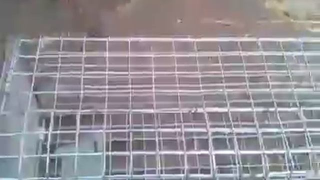 Живоловка смотреть онлайн