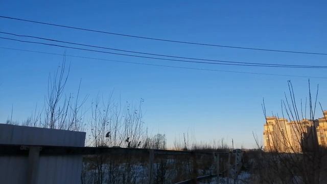 2023.01.02 Погода Петербург. 13:20. - 2°. Погода для отдыха. День профитролей.