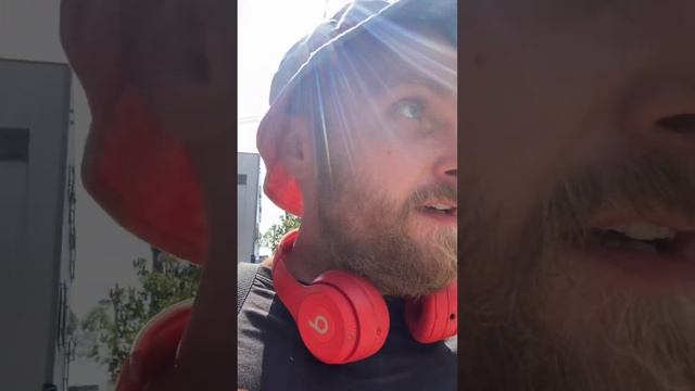 From Japan with Piggery (Kobe)