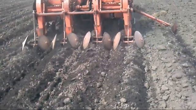 Посадка картофеля на тракторе т40. смотреть онлайн
