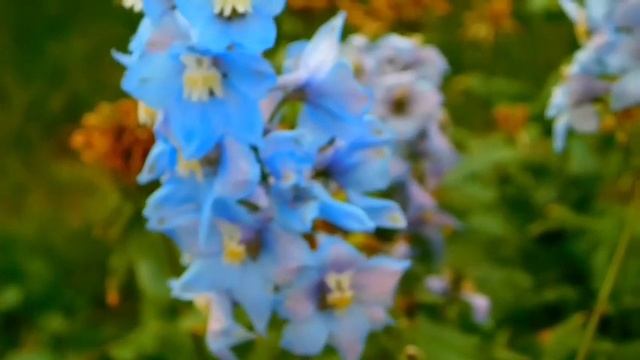 Surah Yasin Yaseen | Full With Arabic | Beautiful recitation | يس سوره 36 | Ep- 452 ] Quran tilawat смотреть онлайн