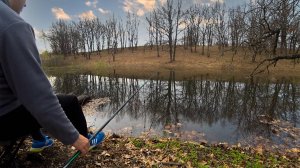 РЫБАЛКА НА ПОПЛАВОК. ВЕСЕННИЙ ЖОР КАРАСЯ. ЛОВИМ НА РАЗ-ДВА!