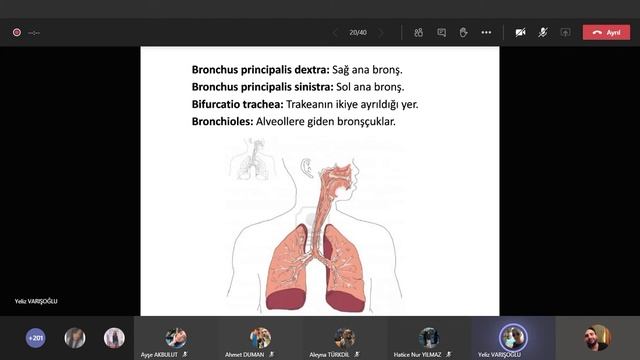 30 Kasım 2020 - Tıbbi Terminoloji смотреть онлайн