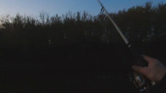 Сом на донки. Весна 2025. #1