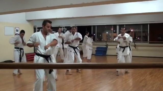 Shorin Ryu Karate Do - Okinawan Kobudo - Bunkai - Kata