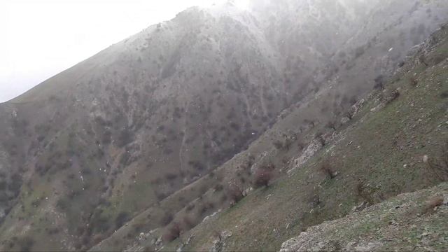 Боридани барфи зиёд чикири сиёалаф модел зери барф монд мохи шарифи Рамазон Апрели 2023 смотреть онлайн