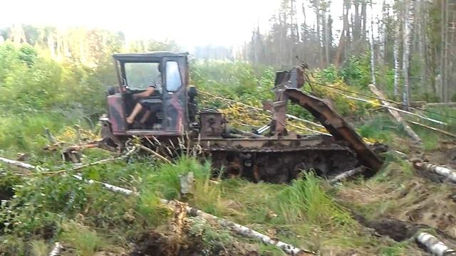 Лесная техника, сила! смотреть онлайн