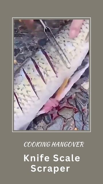 Precision Fishing Companion: Scale, Cut, and Scrape with Ease смотреть онлайн